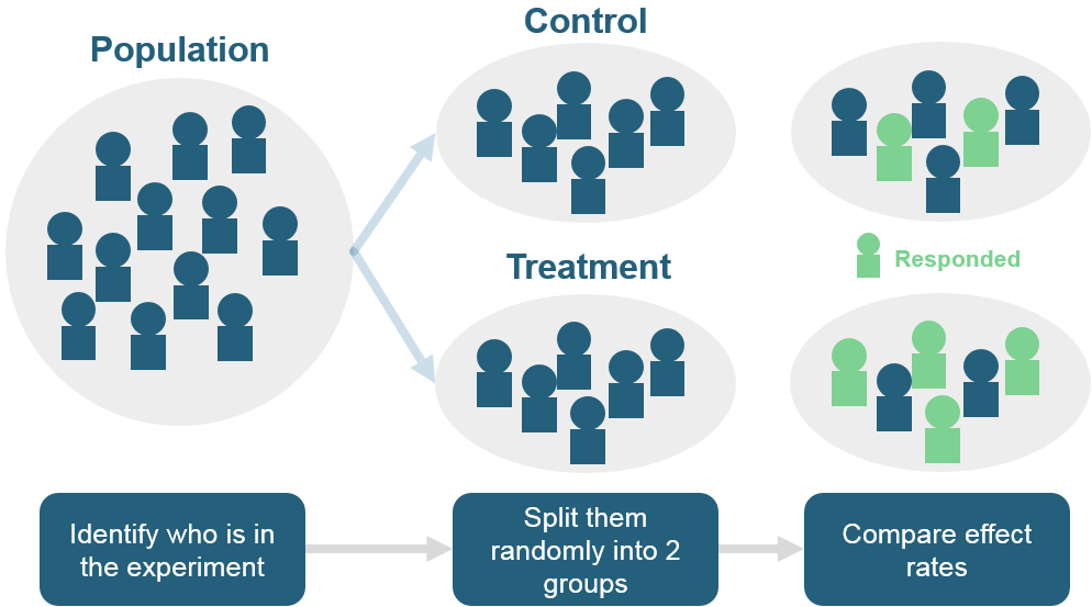 A diagram showing the bulleted steps in an experiment visually